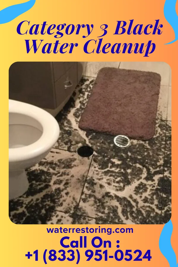 Category 3 Black Water Cleanup in Southgate, FL
