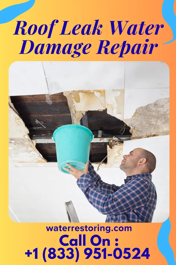 Roof Leak Water Damage Repair in Southgate, FL